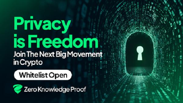 Zero Knowledge Proof (ZKP) Blockchain: Here's How Vitalik