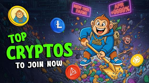 9 Wildly Entertaining Crypto Tokens Eyeing the Next Crypto