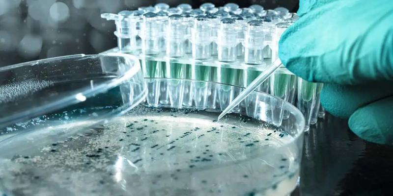 Credits of Image: https://blog.bccresearch.com/