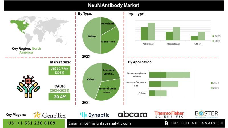 NeuN Antibody Market