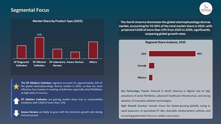 Electrophysiology Devices Market to Hit USD 38.3 Billion by 2035, Driven by Rising Cardiac Arrhythmias