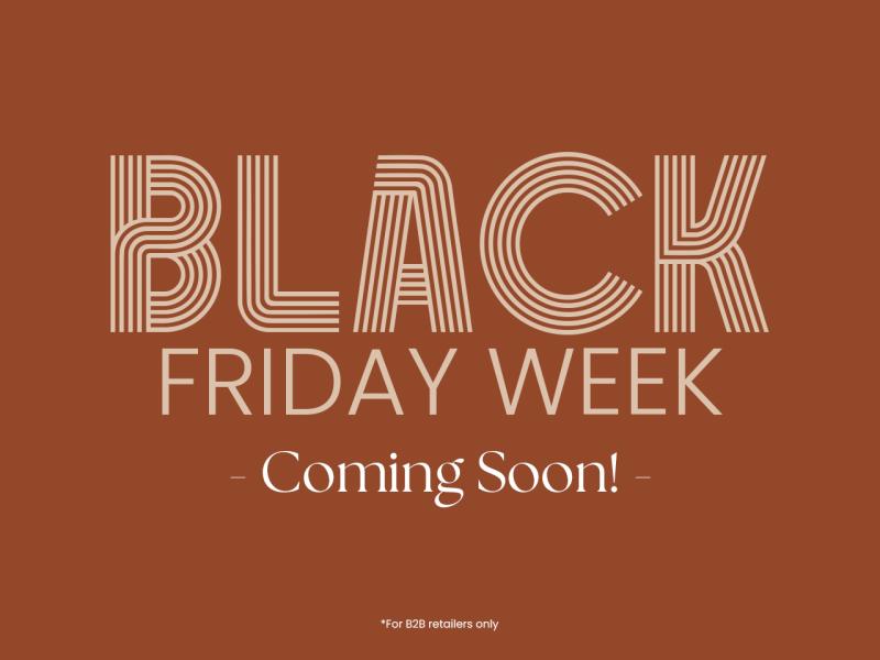 Black Friday Sale