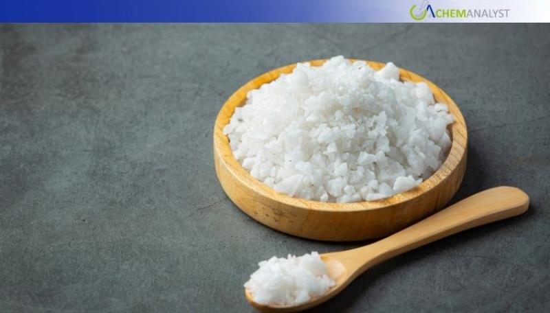 Track Caustic Potash Price Trend and Forecast Across Top