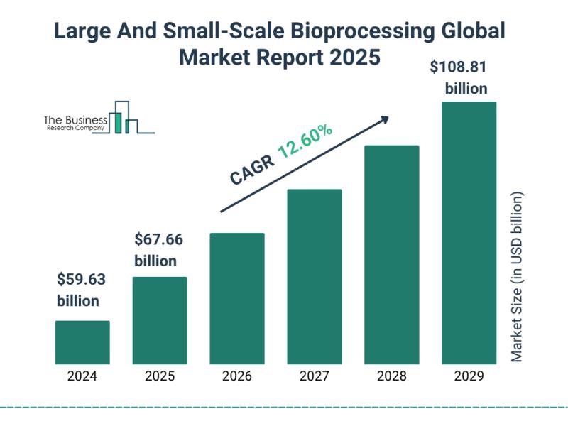 Large And Small-Scale Bioprocessing