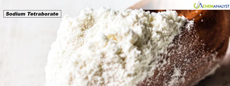 Track Sodium Tetraborate Price Trend and Forecast Across Global