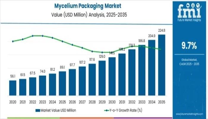 Mycelium Packaging Market