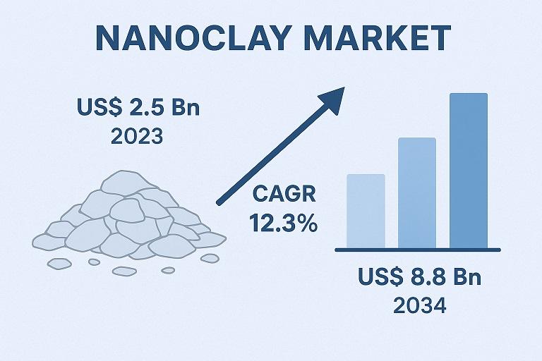 Nanoclay Market
