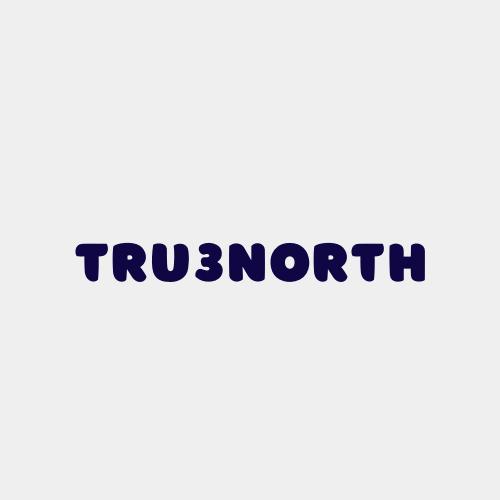 Building brands with precision. Designing systems that scale. Welcome to Tru3North - where modern marketing meets real results.