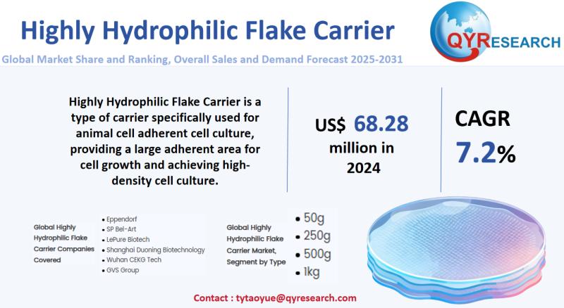Highly Hydrophilic Flake Carrier Market Size, Trends, Growth: