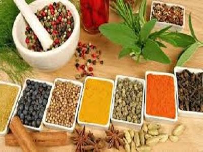 Indian Ayurvedic Manufacturing Market