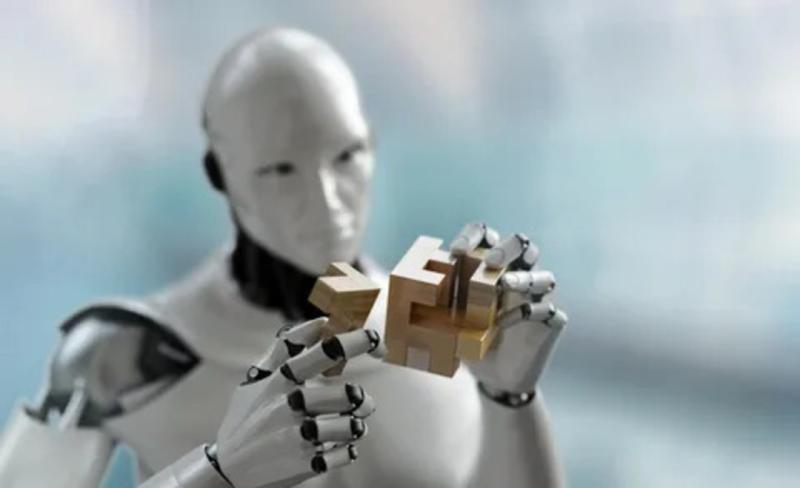 Humanoid Robot Industry