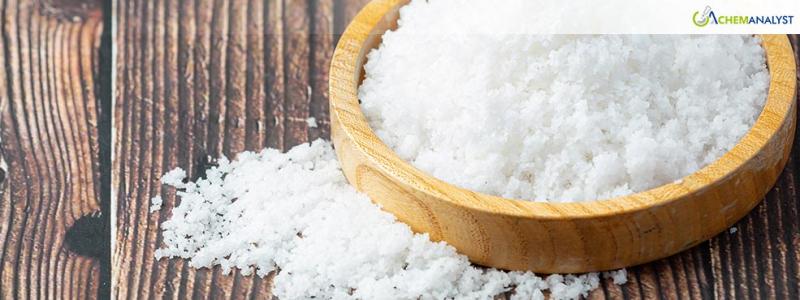 Track Calcium Chloride Price Index Historical and Forecast