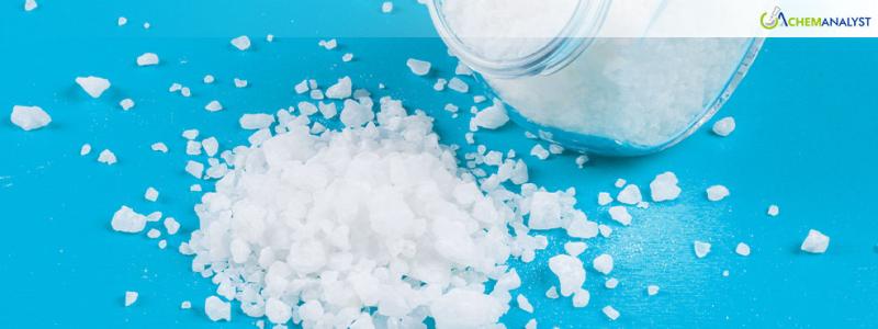 Track Potassium Nitrate Price Report Historical and Forecast