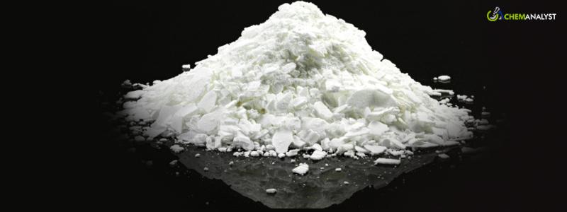 Track Phthalic Anhydride Price Report Historical and Forecast