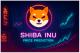 Shiba Inu Price Prediction: SHIB Could Rally, But Experts Say Remittix Offers Far Superior Upside