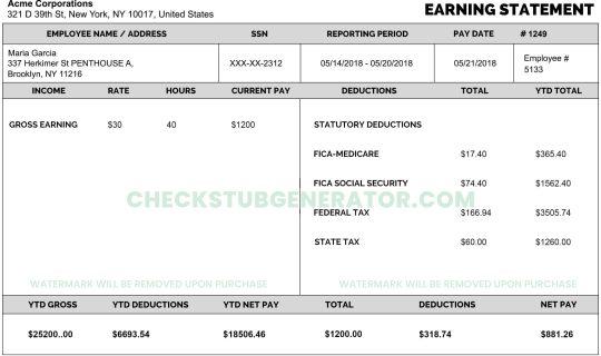 CheckStubGenerator.com has updates with Professional Pay Stub