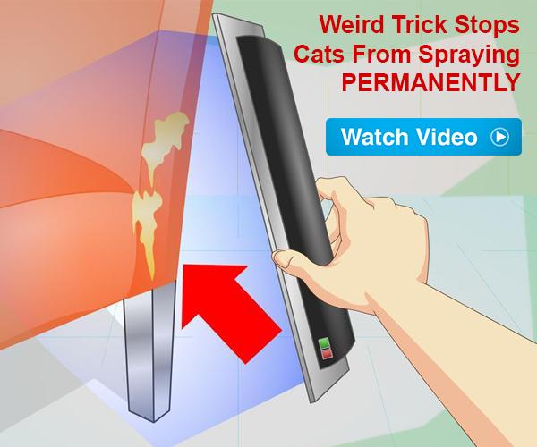 Cat Spray Stop Review 2026: End Cat Spraying With Proven Natural