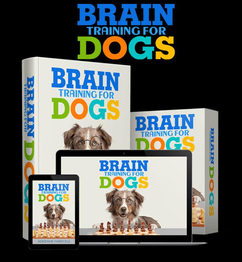Brain Training for Dogs Review 2026