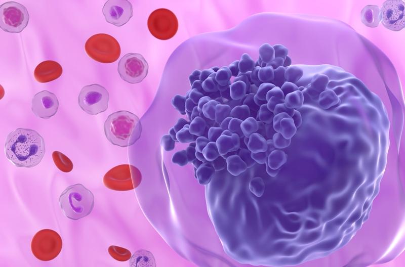 Leukemia Therapeutics Market Analysis and Emerging Therapies Shaping the Future of Oncology