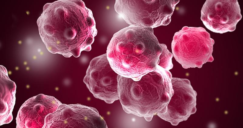 Breast Cancer Liquid Biopsy Market Innovations and Growth Forecasts for Early Detection