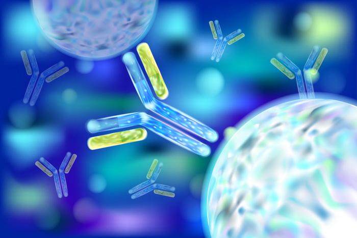 Research Antibodies Market Insights on Innovation, Market Share, and Leading Players