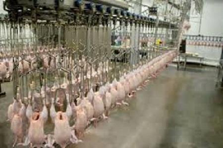 Global Semi Automatic Poultry Processing Market is projected