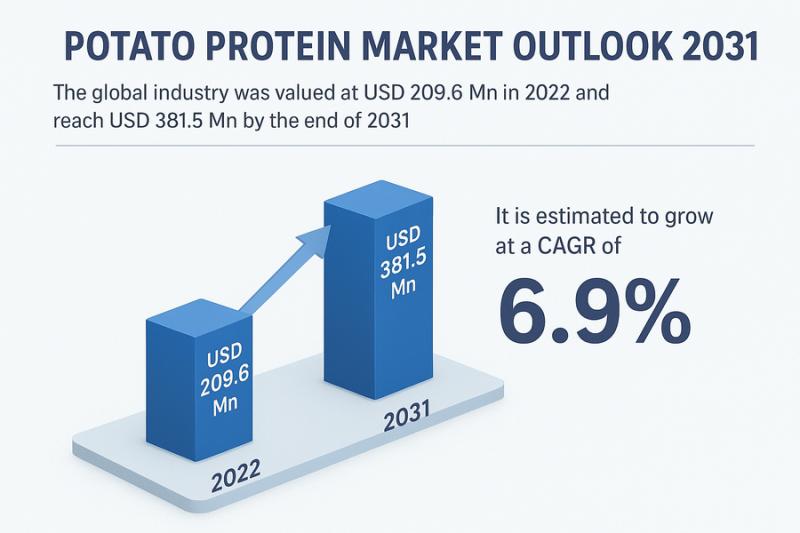 Potato Protein Market