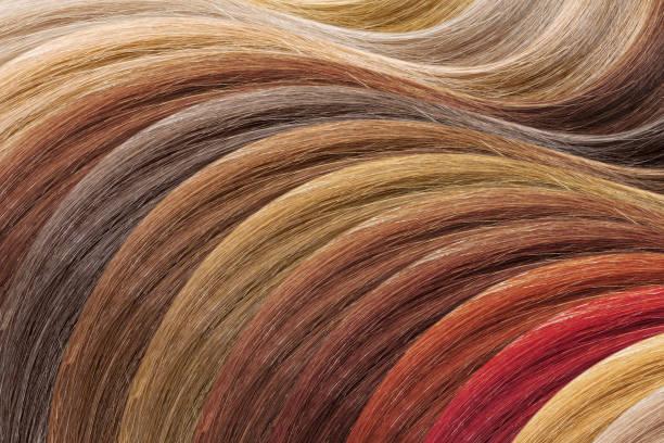Hair Extension Market