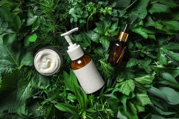 Natural and Organic Cosmetics Market