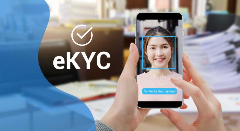 India e-KYC Market Report 2025-2033: Size, Share, Growth,