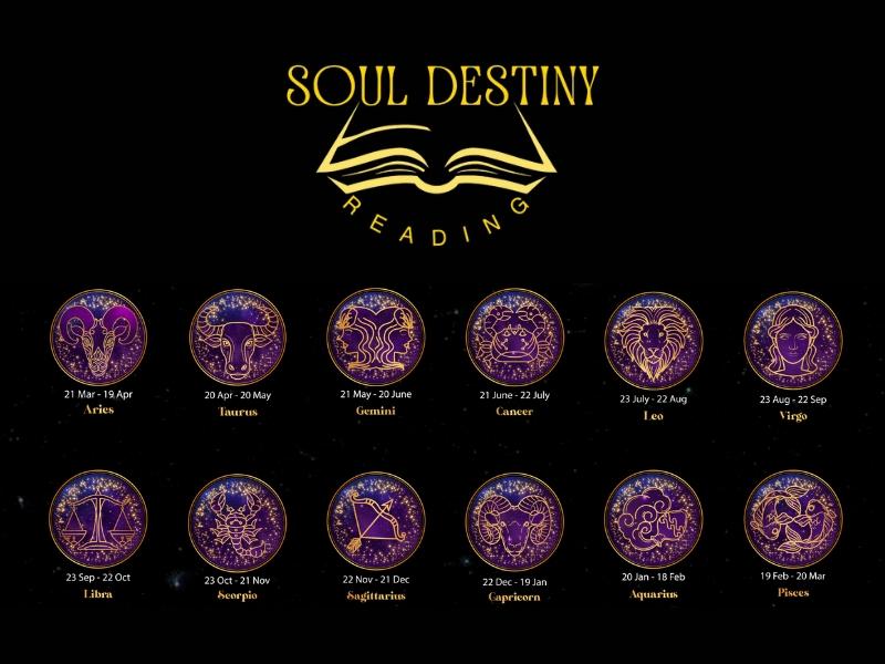 Soul Destiny Reading Review