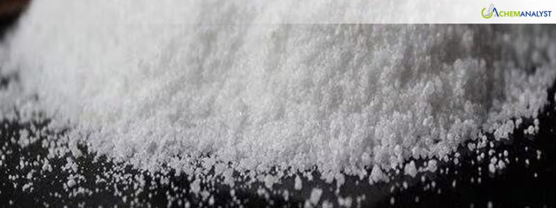 Track Borax Pentahydrate Price Index Historical and Forecast