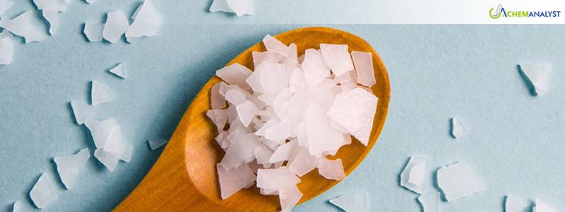 Track Magnesium Chloride Price Index Historical and Forecast