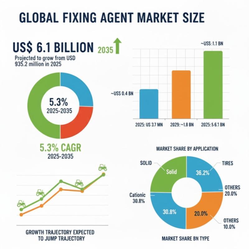 U.S. Fixing Agent Market Forecast 2025-2035: Trends and Growth