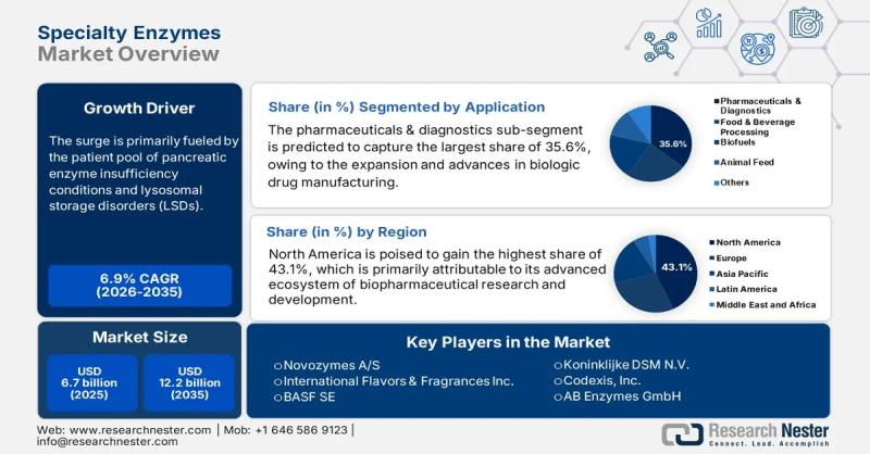Specialty Enzymes Market