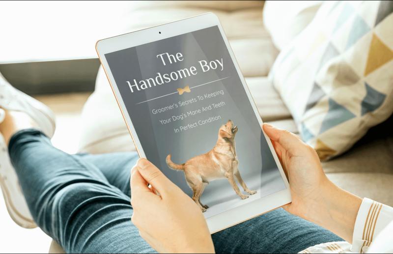 UltraK9 Pro Review 2026