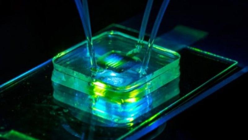 PEM Electrolyzer Market