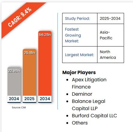 Litigation Funding Investment Market