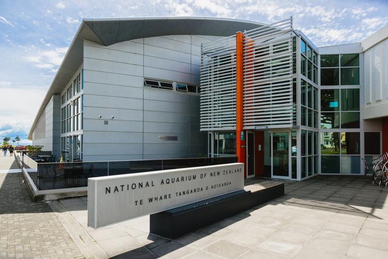National Aquarium of New Zealand