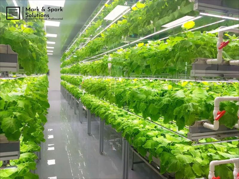 From Warehouse to Harvest: The $4 Billion Boom in U.S. Vertical