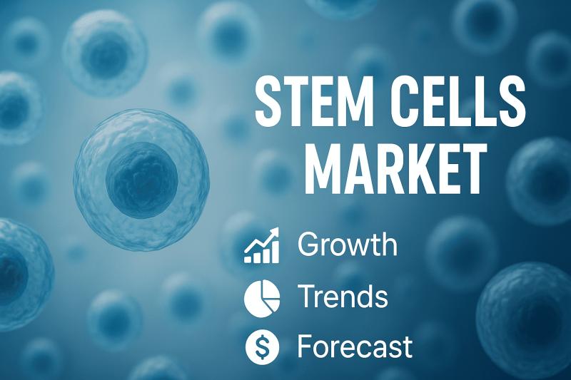 Stem Cells Market Projected to Hit USD 5,380.3 Million by 2032,