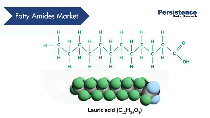 Fatty Amides Market