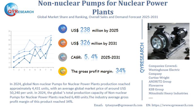 Future of Global Non-nuclear Pumps for Nuclear Power Plants