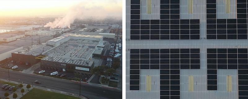 Pulp Studio's 2024 Award Achievements: Celebrating Innovation and Sustainability