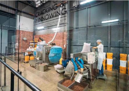 Global Leader LST Advances Chocolate Machine Technology with