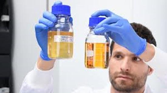 The Global Sterility Test Market Is Projected to Reach USD 2.45