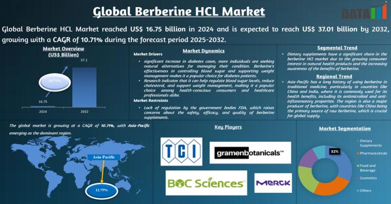Berberine HCL Market