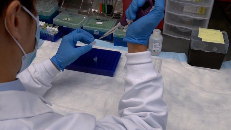 Nucleic Acid Testing Market