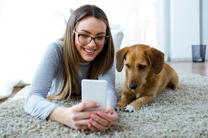 Veterinary Telehealth