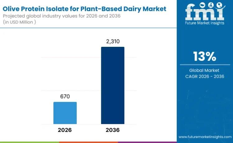 Olive Protein Isolate for Plant-Based Dairy Market